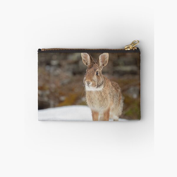Item preview, Eastern Cottontail rabbit designed and sold by James Cumming.