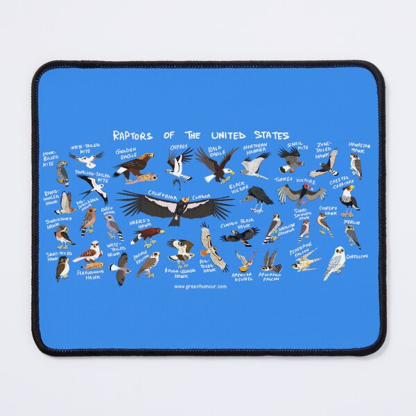 Item preview, Raptors of USA designed and sold by Green Humour.