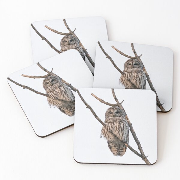 Item preview, Perched Barred Owl - Strix Varia designed and sold by Roxane Bay.