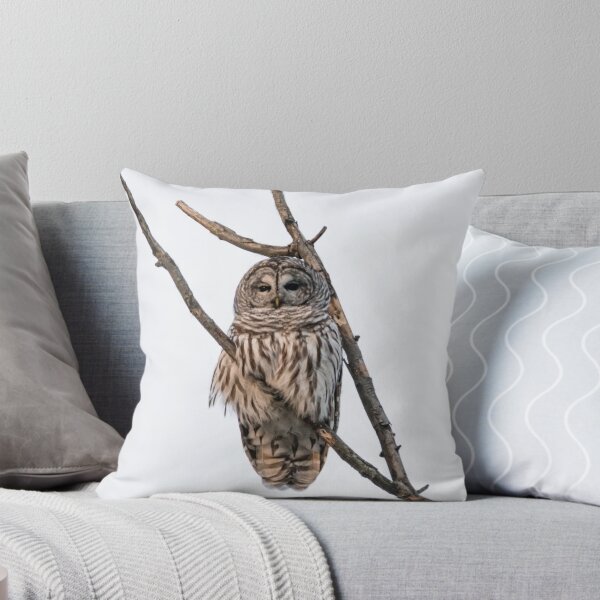 Item preview, Perched Barred Owl - Strix Varia designed and sold by Roxane Bay.