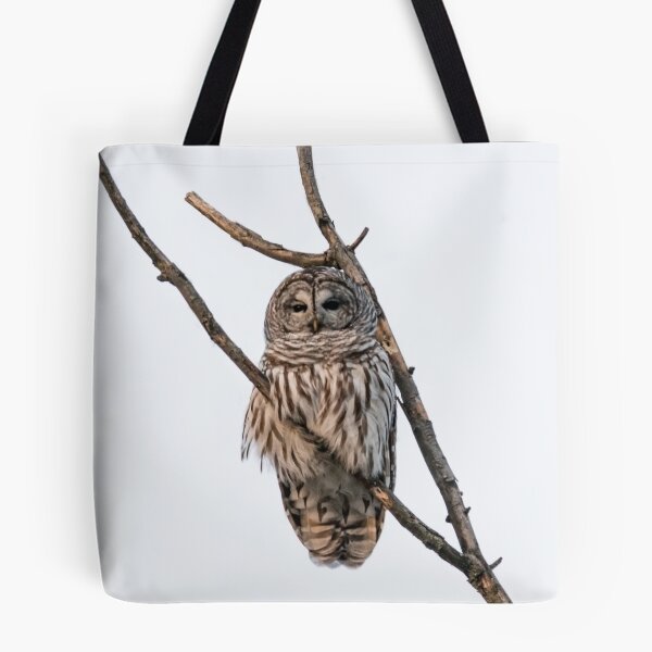 Item preview, Perched Barred Owl - Strix Varia designed and sold by Roxane Bay.