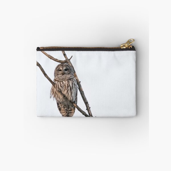 Item preview, Perched Barred Owl - Strix Varia designed and sold by Roxane Bay.