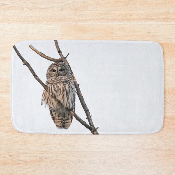 Item preview, Perched Barred Owl - Strix Varia designed and sold by Roxane Bay.