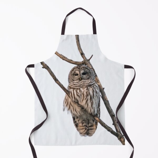 Item preview, Perched Barred Owl - Strix Varia designed and sold by Roxane Bay.