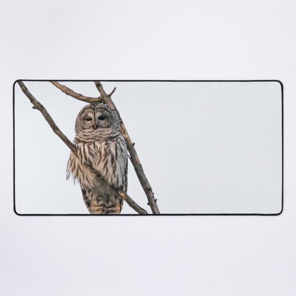 Item preview, Perched Barred Owl - Strix Varia designed and sold by Roxane Bay.