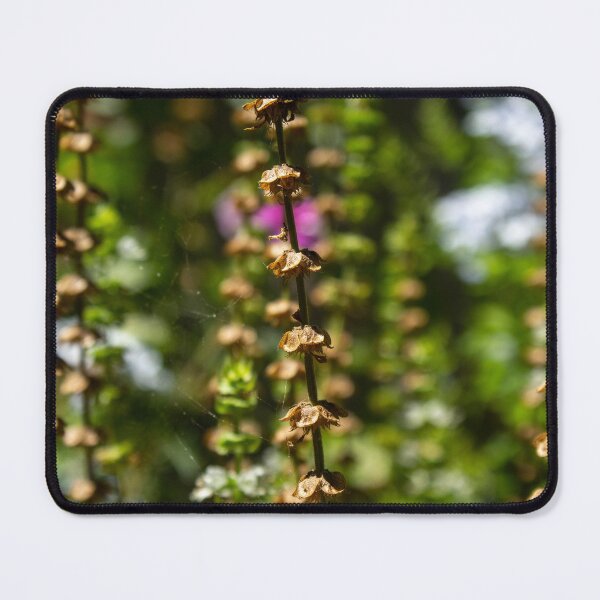 Item preview, delicate plants of an enchanted garden designed and sold by felipequeiroz.