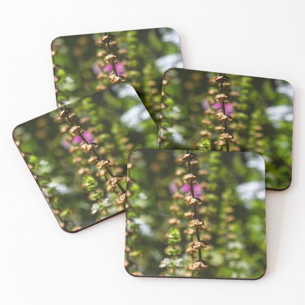 Item preview, delicate plants of an enchanted garden designed and sold by felipequeiroz.