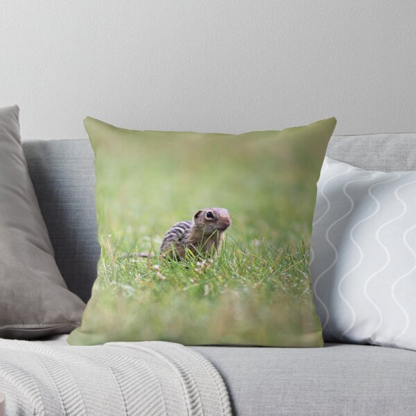 Item preview, From the Grass designed and sold by Aspen Wild Photography.