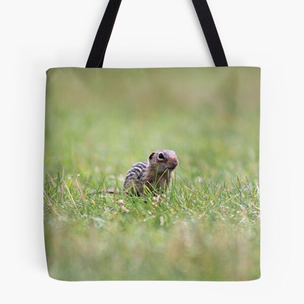 Item preview, From the Grass designed and sold by Aspen Wild Photography.