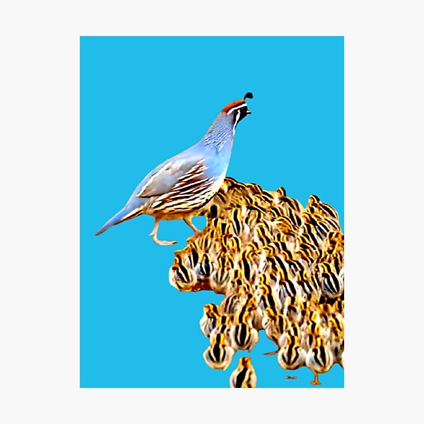 Item preview, Bird & Nestlings Artwork  designed and sold by 3triadstore.