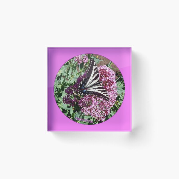 Item preview, Floral - Centranthus with Iris by  Wagonesta  designed and sold by Wagonesta.