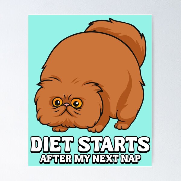 Item preview, Diet cat designed and sold by TeeCodes.