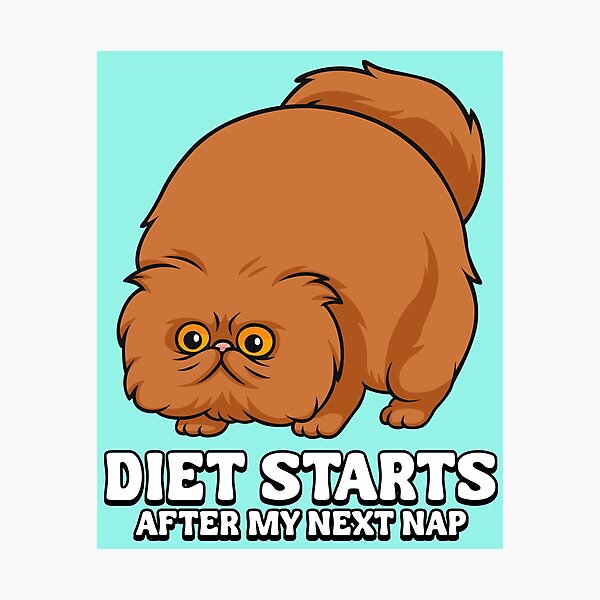 Item preview, Diet cat designed and sold by TeeCodes.