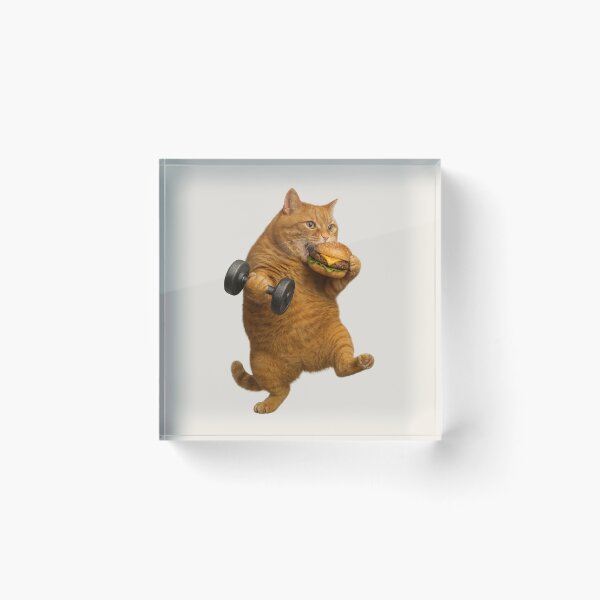 Item preview, Fitness Cat Trainer, Burger Cat – Cheeky Workout Motivation designed and sold by memememescat.