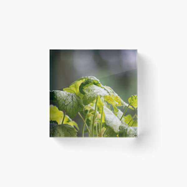 Item preview, Leafy Greens designed and sold by LucaArden.