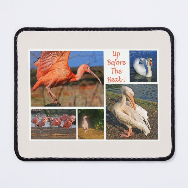 Item preview, Up Before The Beak designed and sold by RedHillDigital.