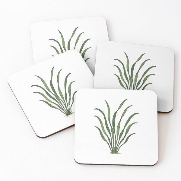 Item preview, Vallisneria Eelgrass Illustration – Flowing Freshwater Plant Botanical Art designed and sold by Vendeloc.