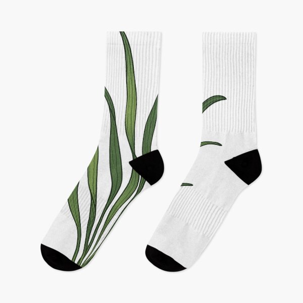 Item preview, Vallisneria Eelgrass Illustration – Flowing Freshwater Plant Botanical Art designed and sold by Vendeloc.