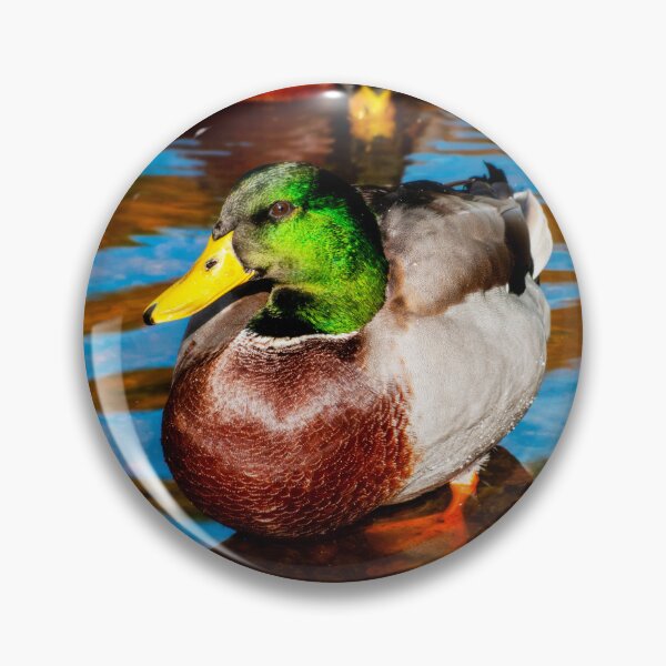 Item preview, Cute Little Mallard Duck designed and sold by JeanKellyPhoto.