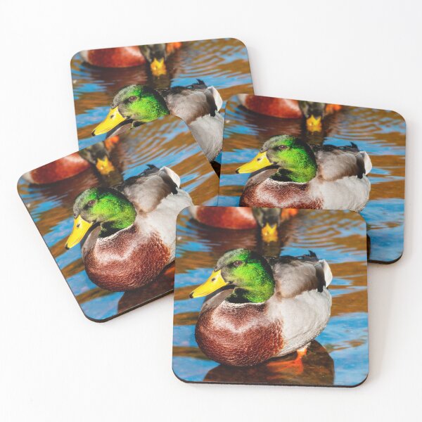 Item preview, Cute Little Mallard Duck designed and sold by JeanKellyPhoto.