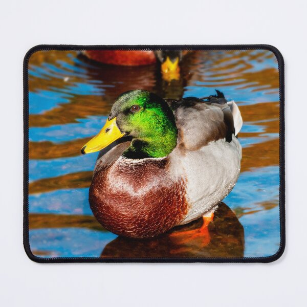 Item preview, Cute Little Mallard Duck designed and sold by JeanKellyPhoto.