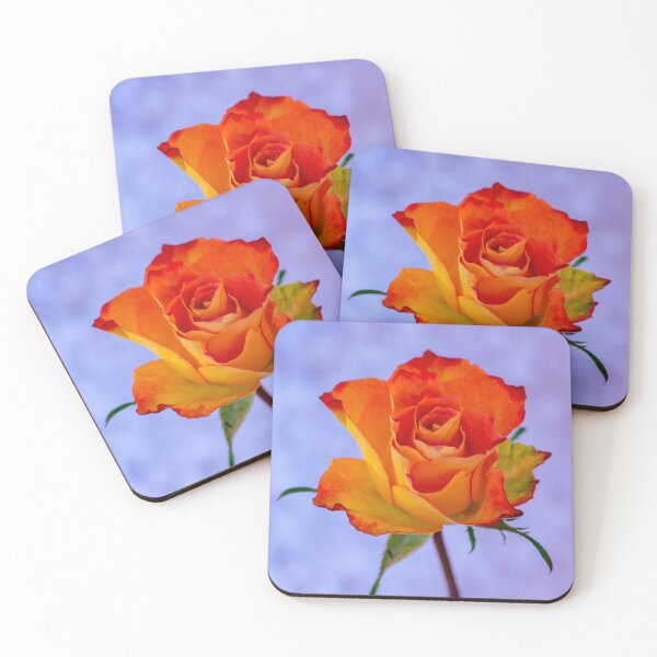 Item preview, Single Orange and Yellow Rose designed and sold by JeanKellyPhoto.