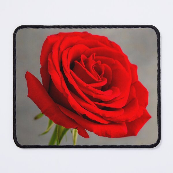 Item preview, Single Red Rose designed and sold by JeanKellyPhoto.