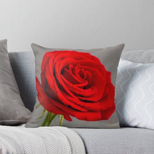 Item preview, Single Red Rose designed and sold by JeanKellyPhoto.