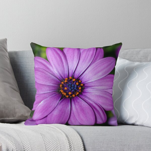 Item preview, Purple Daisy designed and sold by JeanKellyPhoto.