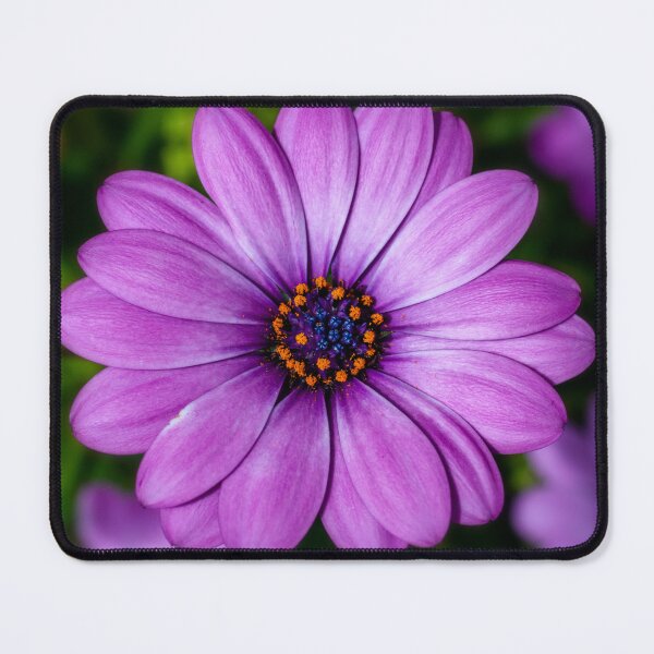 Item preview, Purple Daisy designed and sold by JeanKellyPhoto.
