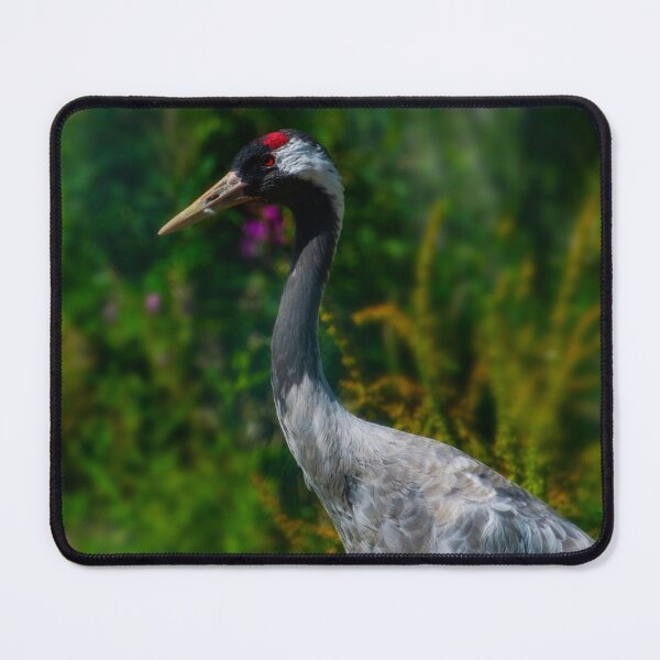 Item preview, Eurasian Crane designed and sold by JeanKellyPhoto.