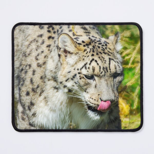 Item preview, Snow Leopard designed and sold by JeanKellyPhoto.