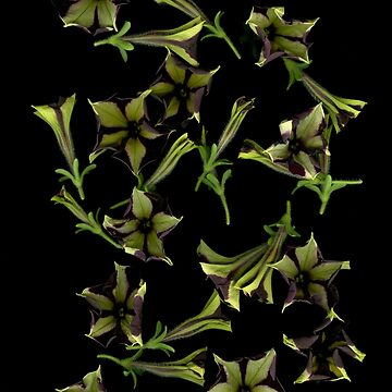 Artwork thumbnail, Petunia Motion Dark Floral by LindasPhotoArt