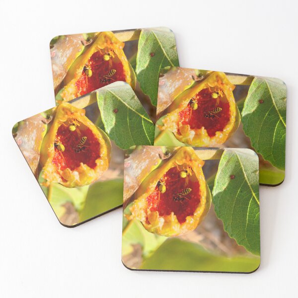 Item preview, Feast in the Fig – Nature’s Chaos designed and sold by IKnowStore.