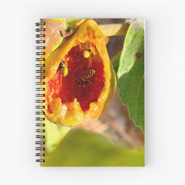 Item preview, Feast in the Fig – Nature’s Chaos designed and sold by IKnowStore.