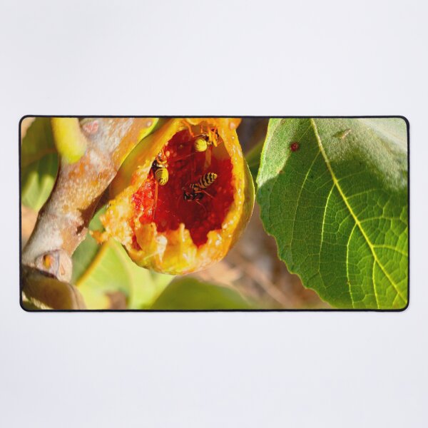 Item preview, Feast in the Fig – Nature’s Chaos designed and sold by IKnowStore.