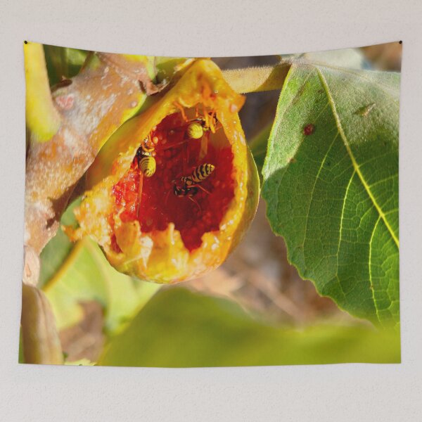 Item preview, Feast in the Fig – Nature’s Chaos designed and sold by IKnowStore.
