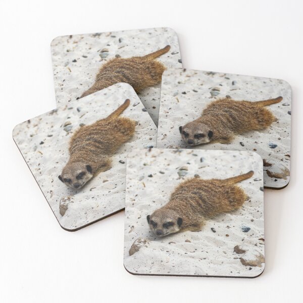 Item preview, Relaxing Meerkat! designed and sold by JeanKellyPhoto.