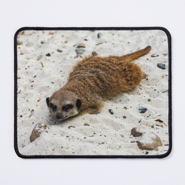 Item preview, Relaxing Meerkat! designed and sold by JeanKellyPhoto.