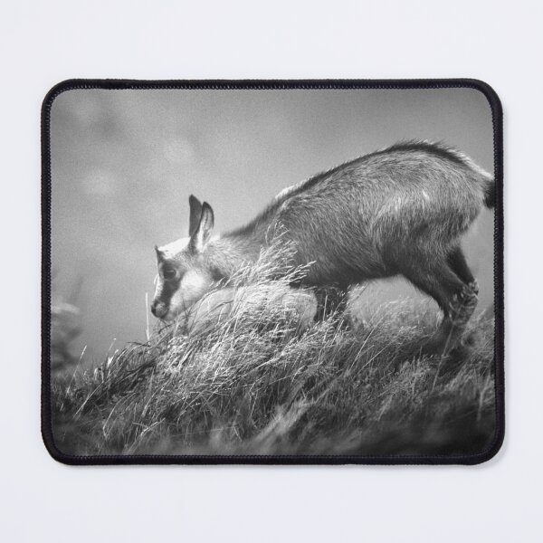 Item preview, Curiosity designed and sold by Schoenenwald — Art Japonais, Zen & Nature.