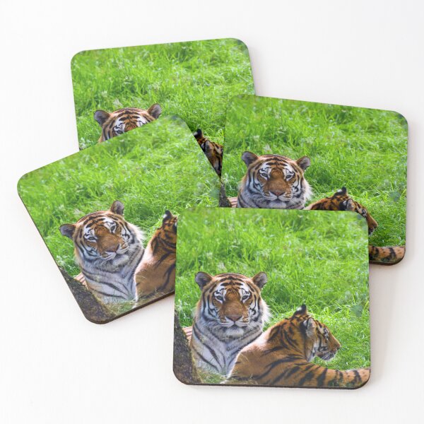 Item preview, Amur Tigers designed and sold by JeanKellyPhoto.