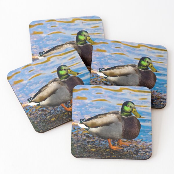 Item preview, Mallard Duck designed and sold by JeanKellyPhoto.