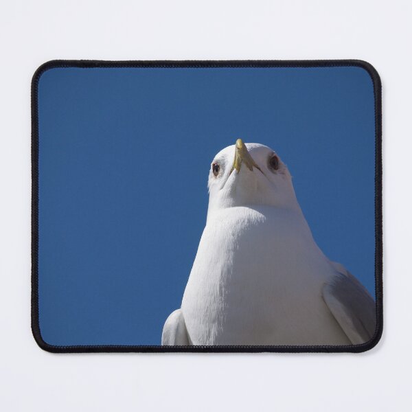 Item preview, gull overload designed and sold by NamelessGhoul.