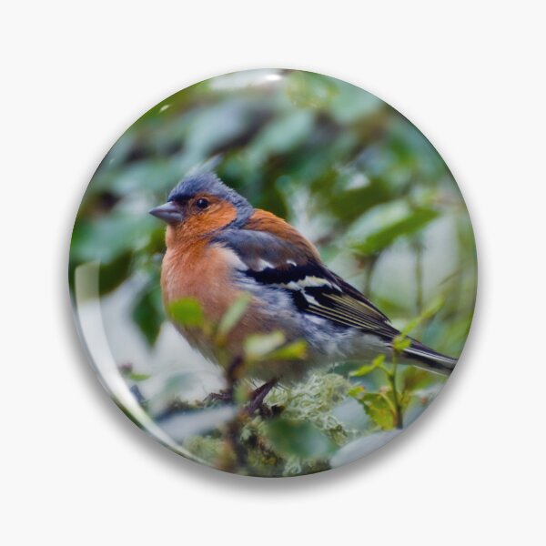 Item preview, Little Chaffinch designed and sold by JeanKellyPhoto.