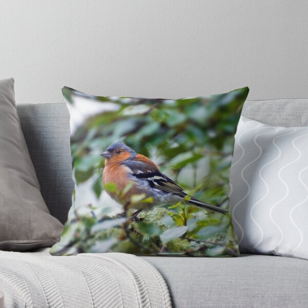 Item preview, Little Chaffinch designed and sold by JeanKellyPhoto.