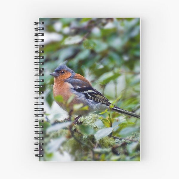 Item preview, Little Chaffinch designed and sold by JeanKellyPhoto.