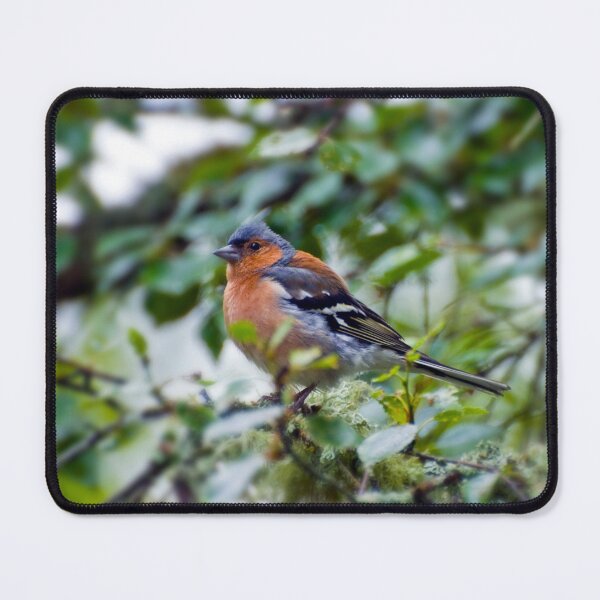 Item preview, Little Chaffinch designed and sold by JeanKellyPhoto.