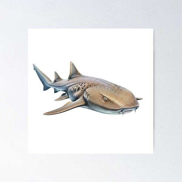 Item preview, Nurse Shark designed and sold by 4rtistcDrift.