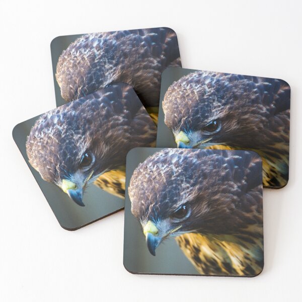 Item preview, Common Buzzard designed and sold by JeanKellyPhoto.