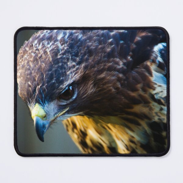 Item preview, Common Buzzard designed and sold by JeanKellyPhoto.